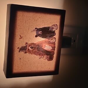 Canvas nightlight